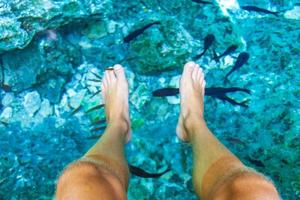 piedi di morso di pesce nell'acqua cenote tajma ha messico. foto