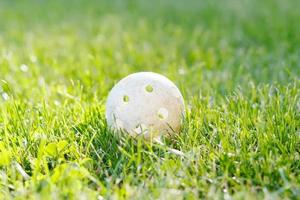 palla floorbal in erba verde