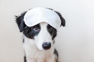 non disturbarmi, lasciami dormire. divertente carino cucciolo di cane border collie sorridente con maschera per gli occhi addormentata isolata su sfondo bianco. riposo, buona notte, siesta, insonnia, relax, stanco, concetto di viaggio. foto