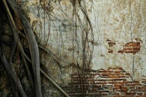 immagine di sfondo di un vecchio muro di mattoni con radici appollaiate. foto
