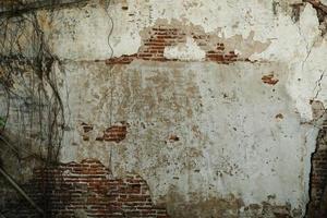 un vecchio muro di mattoni con radici appollaiate, texture di sfondo. foto