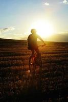 ciclista di mountain bike a cavallo attraverso il campo di paglia al tramonto