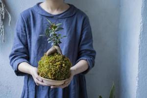 kokedama con albero di bonsai o albero succulento nelle mani della femmina da vicino foto