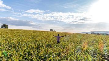 libertà contadino brasiliano uomo stand presso la fattoria verde con gratitudine. foto