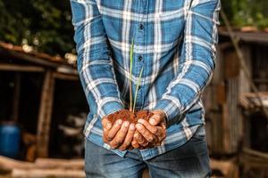 mani dell'uomo del giovane agricoltore che tengono una pianta giovane verde. simbolo della primavera e del concetto di ecologia foto