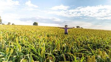 libertà contadino brasiliano uomo stand presso la fattoria verde con gratitudine. foto