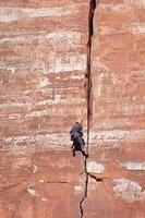 zion, utah, usa, 2009. uomo che scala una parete rocciosa a strapiombo nel parco nazionale di zion foto