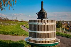 Torchio in un campo a Mainz Hechtsheim, Germania foto