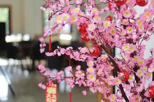 fiori di ciliegio rosa con ornamenti cinesi su uno sfondo di caffè sfocato foto