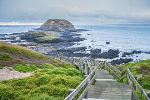 passerella verso l'area di conservazione dei nobbies a phillip island, victoria state of australia. foto