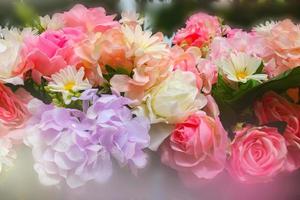 rosa rosa fiori che sbocciano e luce soffusa in giardino foto