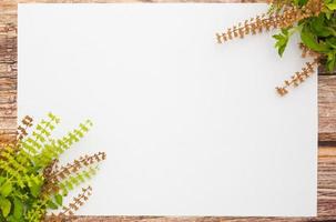 fiori di basilico verde e foglio di carta bianco su uno sfondo di legno. bordo primaverile fiore verde, vista dall'alto, carta bianca per testo, disposizione piatta. foto