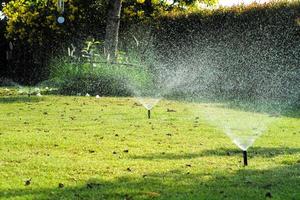 messa a fuoco selettiva sull'irrigazione a pioggia intorno al campo in erba con sfondo sfocato del giardino all'aperto foto