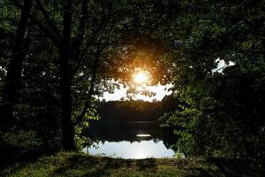 paesaggio di un lago forestale attraverso le chiome degli alberi foto