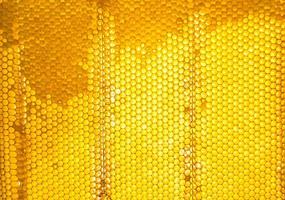 favo di alveare pieno di miele dorato foto