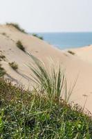 vista delle dune foto