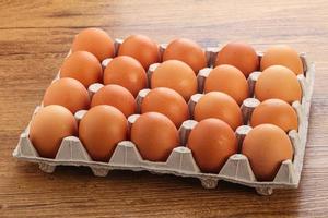 uovo di gallina biologico nel cartone
