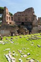 rovine romane a roma, foro foto