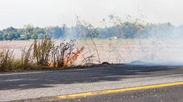 incendi d'erba lungo la strada. foto