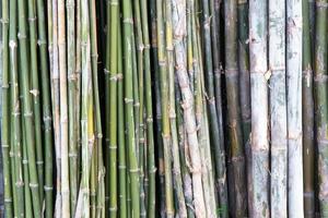 vendita al dettaglio rivestita di bambù. foto