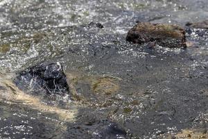 sfondo astratto che scorre attraverso il granito. foto