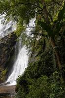 cascata vicino agli alberi. foto