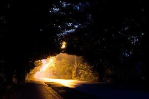 luce attraverso il tunnel degli alberi notturni. foto