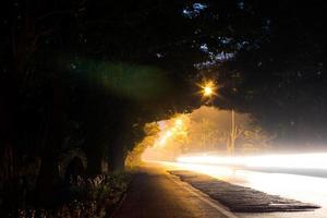 luce attraverso il tunnel degli alberi notturni. foto