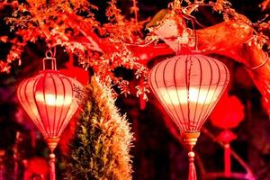 decorazione cinese di nuovo anno