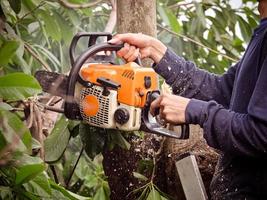 il giardiniere sta usando una motosega per potare gli alberi foto