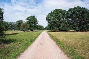 percorso in un paesaggio meraviglioso foto