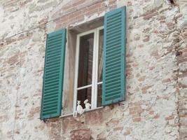 vecchia finestra in edificio bianco foto