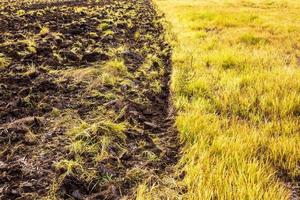 sfondo a terra con erba infestante in un campo arato. foto