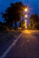 molte luci sulla strada con alberi crepuscolari. foto
