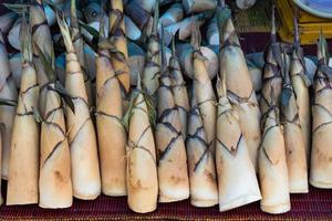 germogli di bambù disposti su una stuoia. foto