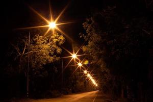 accendi molte lampade con alberi sulla strada del crepuscolo. foto