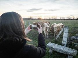 ragazza che scatta foto di mucche.