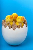 anatroccoli di Pasqua in guscio d'uovo su sfondo blu verticale