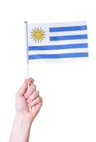 una mano tiene la bandiera del paese dell'uruguay su uno sfondo bianco isolato. foto