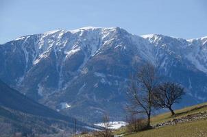 pascolo con alberi e snowmountain foto