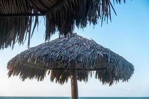 cumbuco beach, luogo famoso vicino a fortaleza, ceara, brasile. cumbuco spiaggia piena di kite surfisti. luoghi più popolari per il kitesurf in brasile, i venti sono buoni tutto l'anno. foto