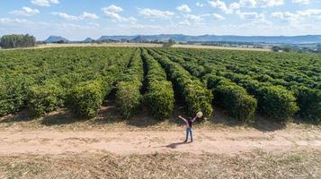 giovane contadina che controlla la sua piantagione di caffè. contadino brasiliano. giornata dell'agronomo foto
