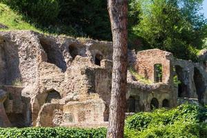 rovine romane a roma, foro foto