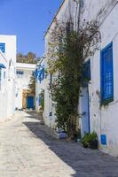 antica città araba in tunisia - detto sidi bu foto