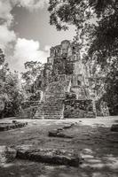 antico sito maya con rovine di templi piramidi manufatti muyil messico. foto