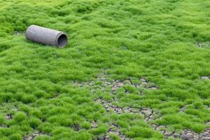 un vecchio tubo di cemento su un terreno incrinato con erba.