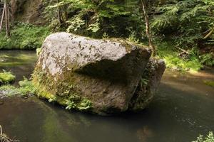 paesaggio in montagna nel parco nazionale della svizzera ceca, pineta e rocce foto