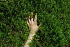 le mani della donna sul bellissimo muschio verde nella foresta primaverile foto