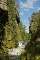 paesaggio in montagna nel parco nazionale della svizzera ceca, pineta e rocce foto