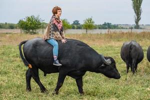 giovane donna vestita con un poncho giro su un grande bufalo d'acqua foto